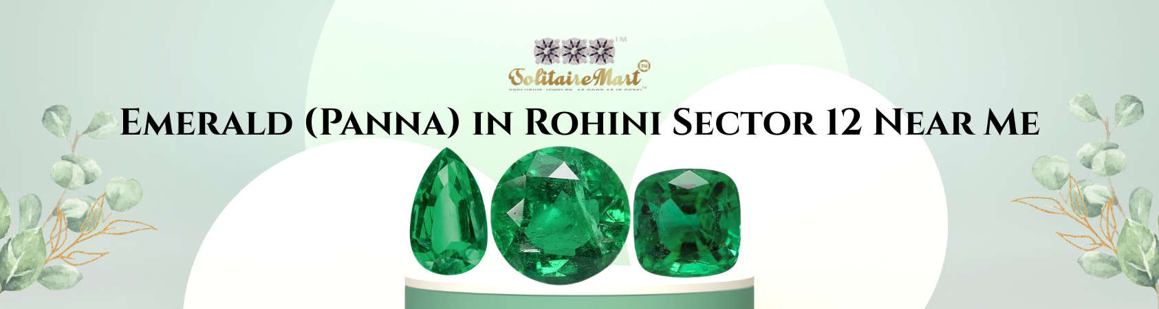 Emerald (Panna) in Rohini Sector 12 Near Me